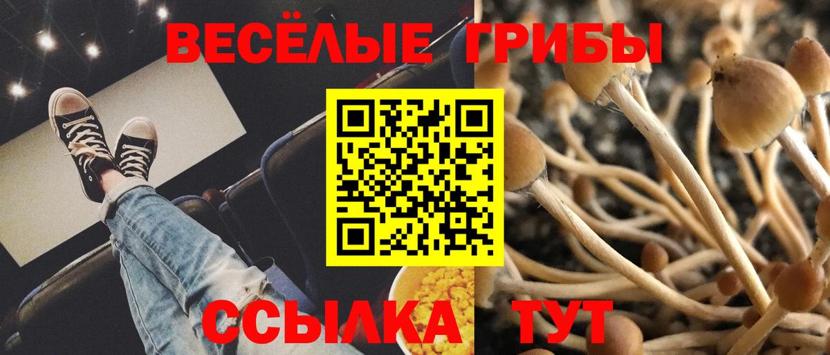 Псилоцибиновые грибы MAGIC MUSHROOMS  Вход с VPN  Псилоцибиновые грибы GOLDEN TEACHER  Бутурлиновка 
