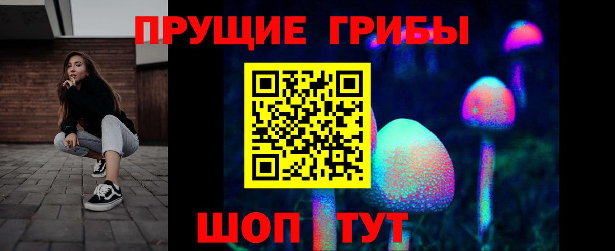 Псилоцибиновые грибы Psilocybine cubensis Бутурлиновка