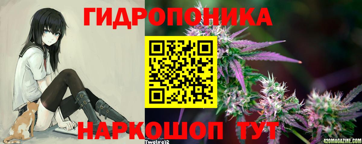 Бутурлиновка  Конопля планчик  Шишки марихуана план  Вход с VPN  Бошки марихуана White Widow  Марихуана планчик 